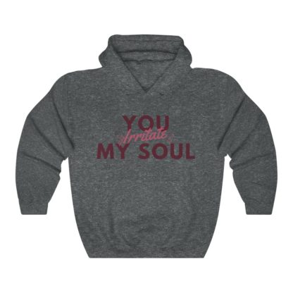 You Irritate My Soul Hooded Sweatshirt - Image 4